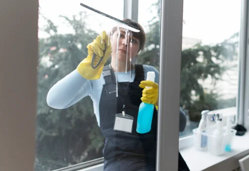 Nettoyage de vitres intérieures et extérieures à Coësmes